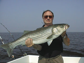 Frankel0513002a.jpg (15757 bytes)