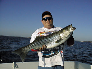 Grimm050100.jpg (18608 bytes)