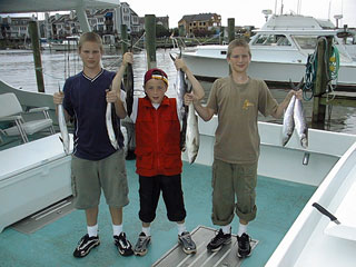 Payne0903001a.jpg (26706 bytes)