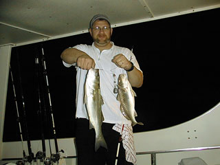 Reiz082500.jpg (16574 bytes)