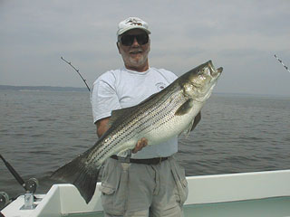 Schwartz0519001a.jpg (15444 bytes)