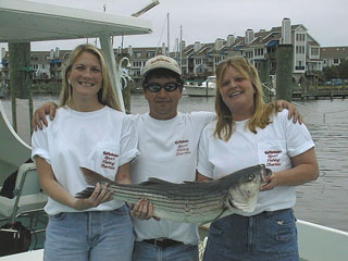 Sines0521002a.jpg (23737 bytes)