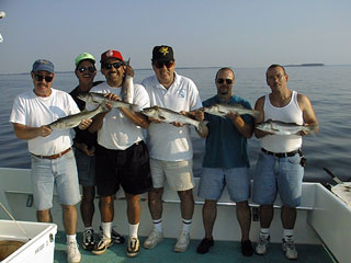 Balsamo0722002a.jpg (22052 bytes)