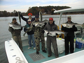 Balsamo1118001a.jpg (25067 bytes)