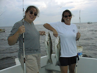 Blocksom0730001a.jpg (19985 bytes)