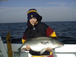 Feeney12311a.jpg (12869 bytes)