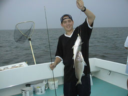 Fox0724a.jpg (11540 bytes)