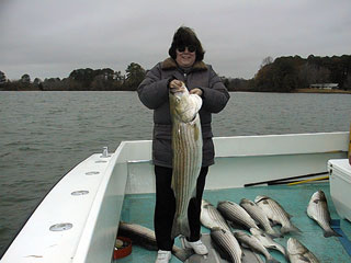 Fox1126002a.jpg (19696 bytes)