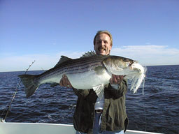 Fox12121a.jpg (12717 bytes)