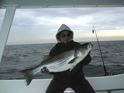 Frankel12061a.jpg (10939 bytes)