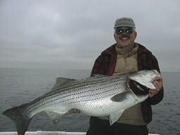 Gers12151a.jpg (9784 bytes)