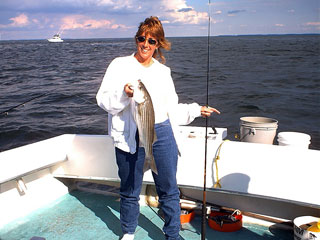 Greer0916001a.jpg (24217 bytes)