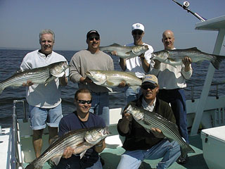 Gunkel050101a.jpg (25788 bytes)