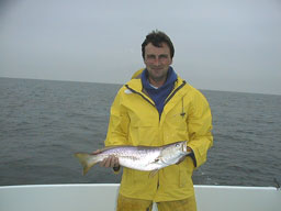 Haines10172a.jpg (9208 bytes)