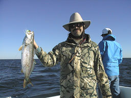 Heintz10151a.jpg (15544 bytes)