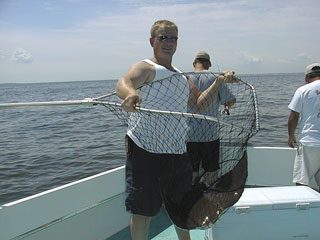 Herbert0701001a.jpg (18818 bytes)