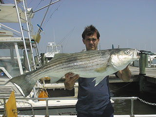 Hugg050201b.jpg (23398 bytes)