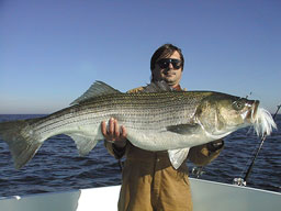 Pounds12052a.jpg (12278 bytes)