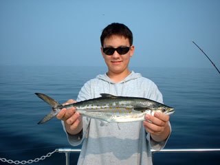 Schaeffert080501a.jpg (14247 bytes)