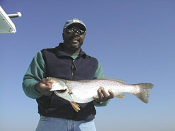 Wallace10061a.jpg (8548 bytes)